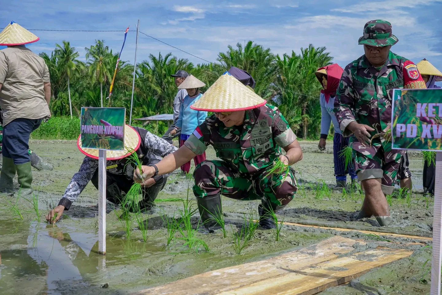 Pangdam XV/Pattimura Tanam Perdana Padi di Waihatu