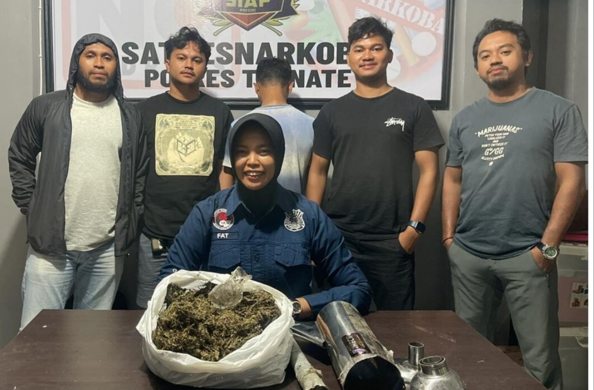 Polres Ternate Tangkap Pengedar Ganja di Kelurahan Takoma